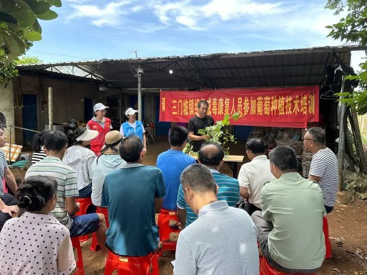 三门坡镇禁毒办组织辖区戒毒康复人员参加葡萄种植技术培训