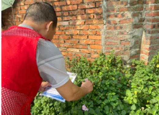 石山镇开展2026年春季“禁毒流动课堂”暨毒品原植物踏查铲除活动